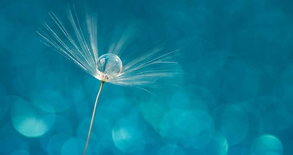 宝臻会计师顺利通过PCAOB注册