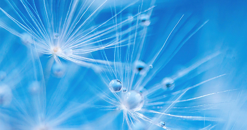 宝臻受聘为纽交所上市公司安博教育集团提供审计服务