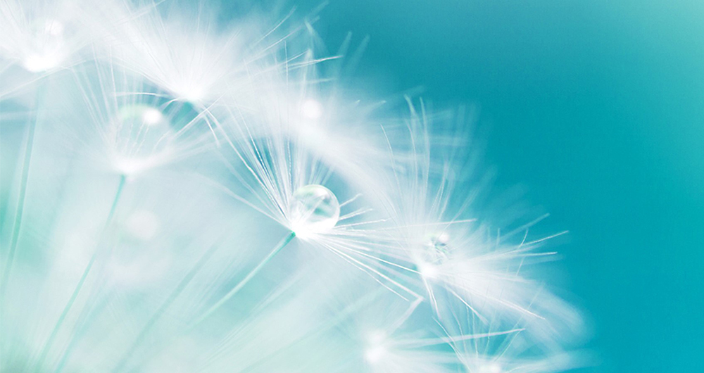 宝臻受聘为纳斯达克上市公司MKDWELL Tech Inc.提供审计服务